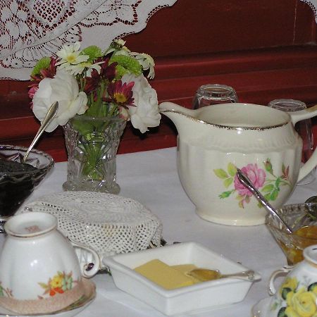 דנידין Albatross Inn Bed & Breakfast מראה חיצוני תמונה